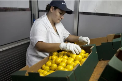 Dictan curso para la inspección de empaques cítricos