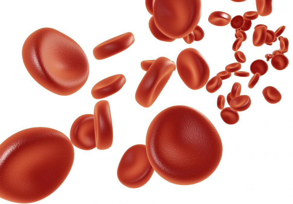 Dengue: ¿qué pasa cuando bajan las plaquetas en la sangre?