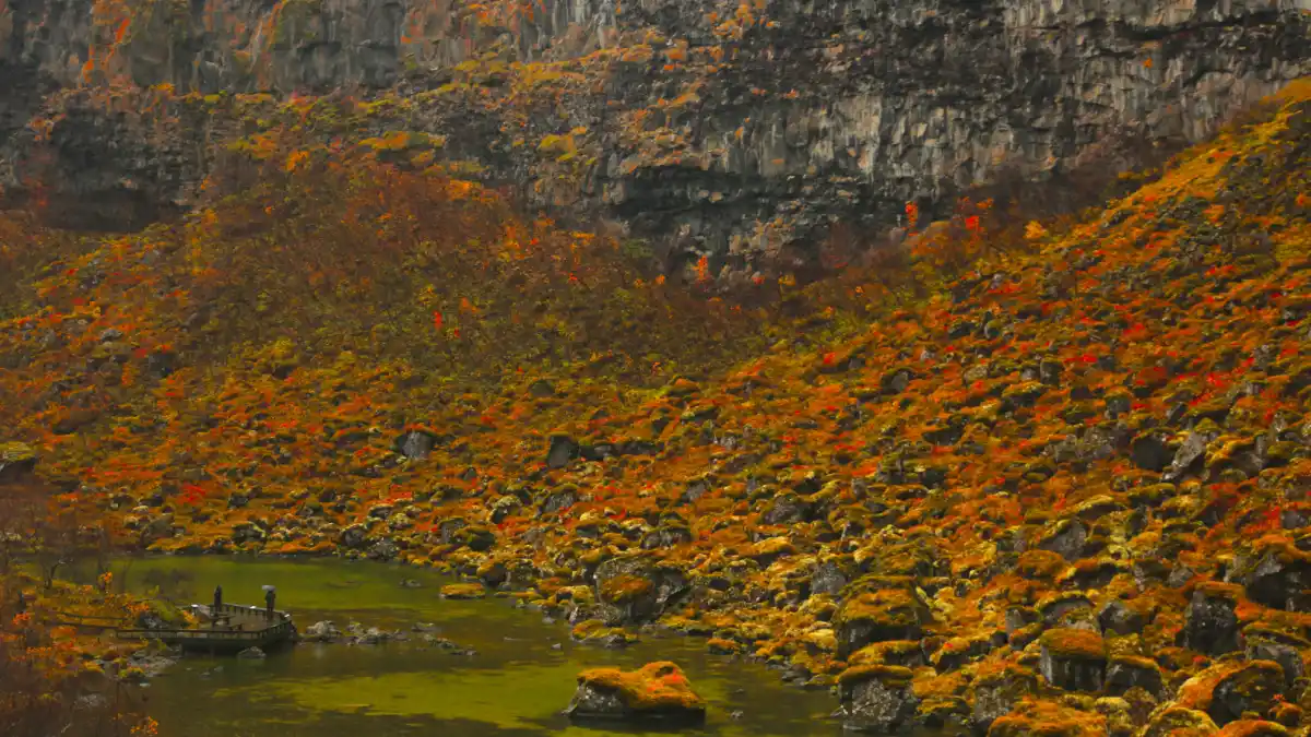 Ásbyrgi, la laguna verde sobre la huella del caballo de Odín.