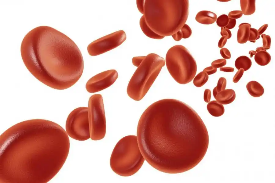 Dengue: ¿qué pasa cuando bajan las plaquetas en la sangre?