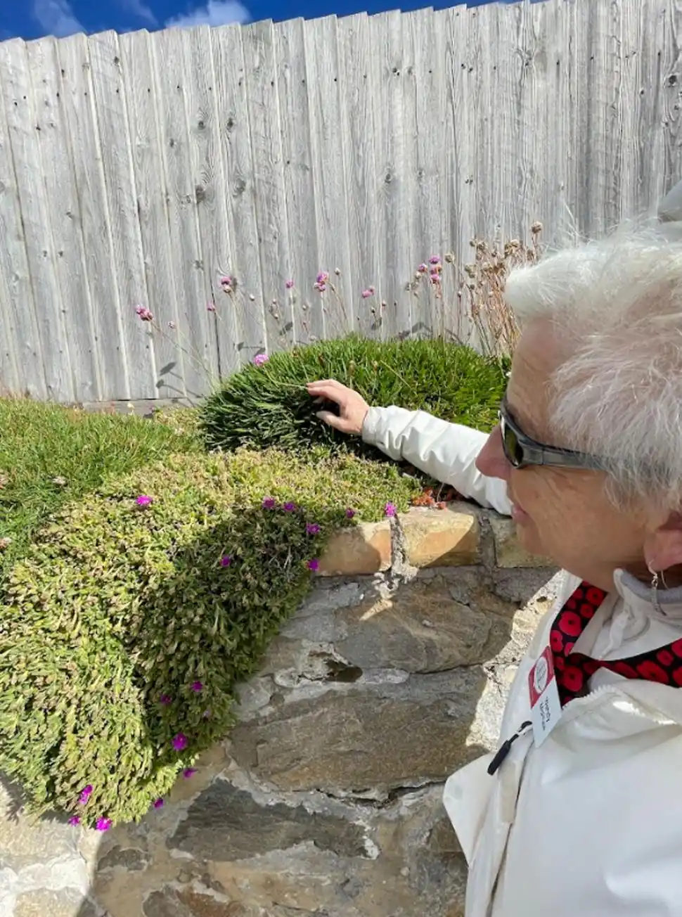 EXPLICACIÓN. Wendy McPhee enseña la vegetación local a periodistas en Puerto Argentino/Stanley.
