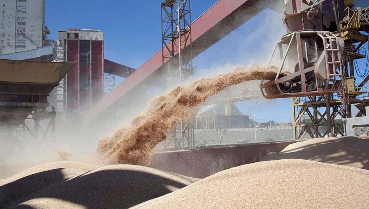LA ESTRELLA. El principal producto de exportación del país es la harina de soja, con un 12% del total.
