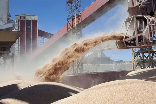 El ingreso de dólares por las exportaciones del agro creció 61% en el primer trimestre