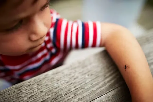 Dengue: cómo afecta a los niños y qué tratamiento recomiendan