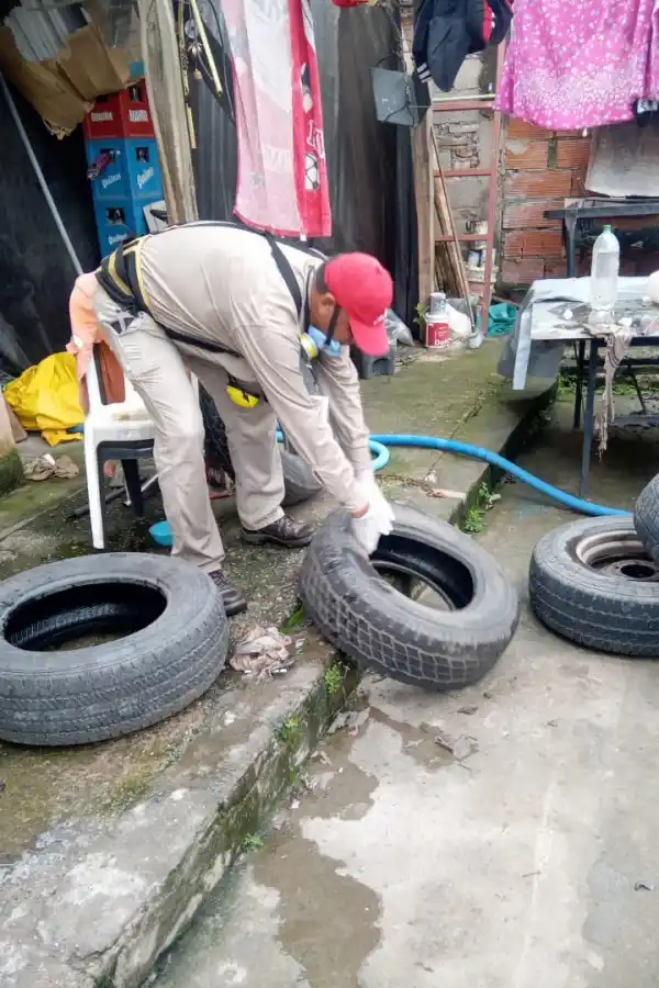 Dengue: quedan más de dos meses de alto riesgo, ¿a qué temperatura muere el mosquito?