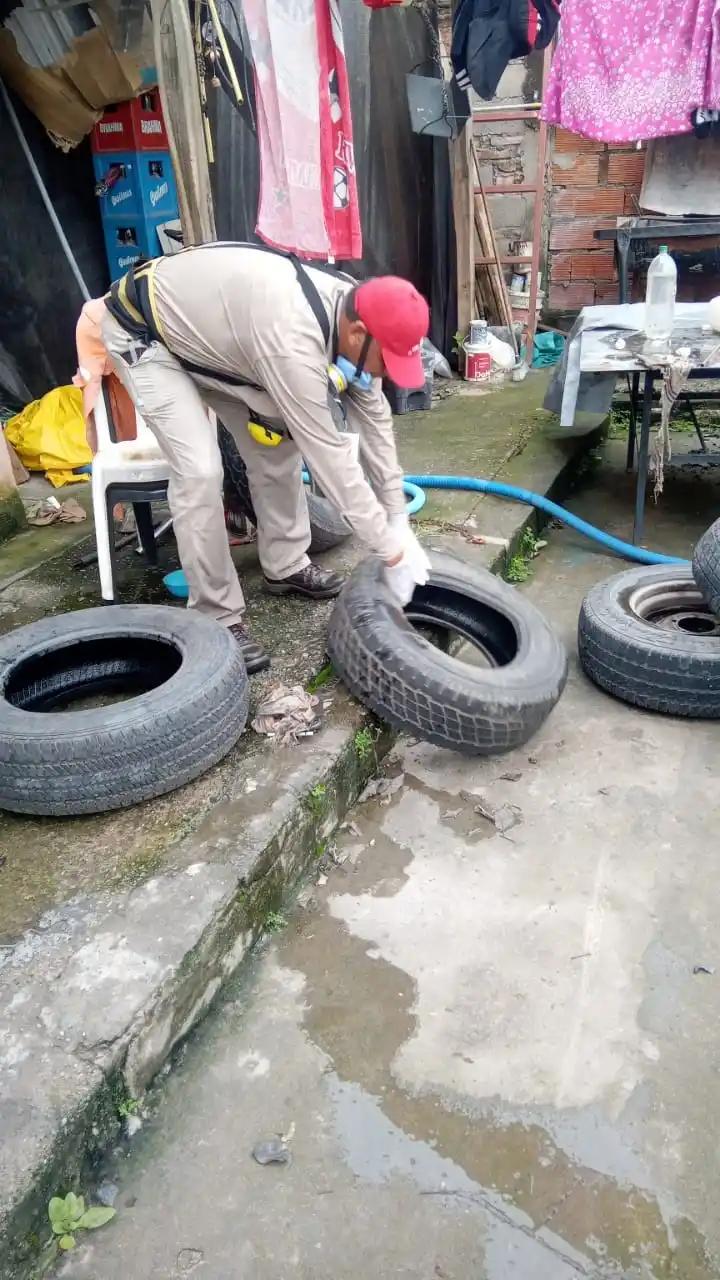 Dengue: quedan más de dos meses de alto riesgo, ¿a qué temperatura muere el mosquito?