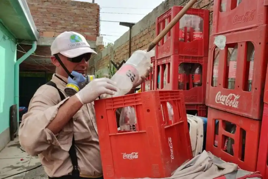 Dengue: quedan más de dos meses de alto riesgo, ¿a qué temperatura muere el mosquito?