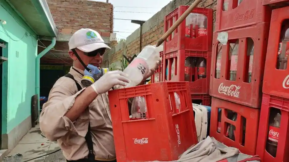 Dengue: quedan más de dos meses de alto riesgo, ¿a qué temperatura muere el mosquito?