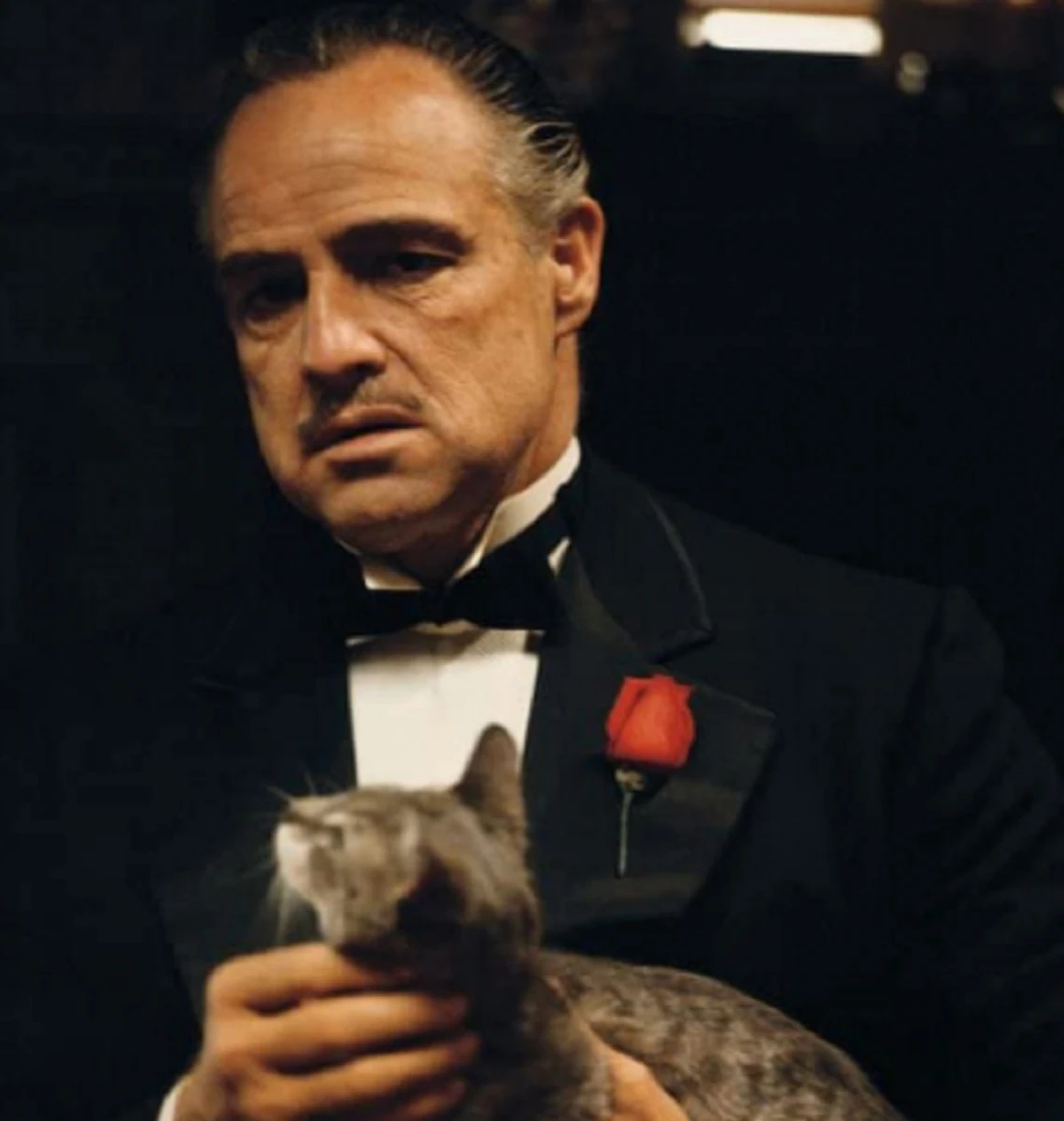 VITO CORLEONE. Con la composición del capo mafioso Brando conquistó su segundo Oscar, que rechazó.