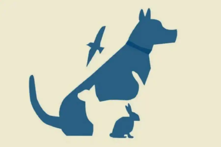 Test de personalidad: elige un animal y descubre qué tan inteligente sos