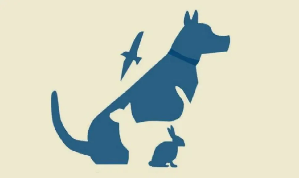 Test de personalidad: eligí un animal y descubrí qué tan inteligente sos