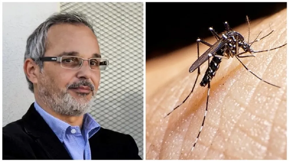 Dengue: el ministro de Salud explicó por qué faltan repelentes y cuándo resolverá la escasez 