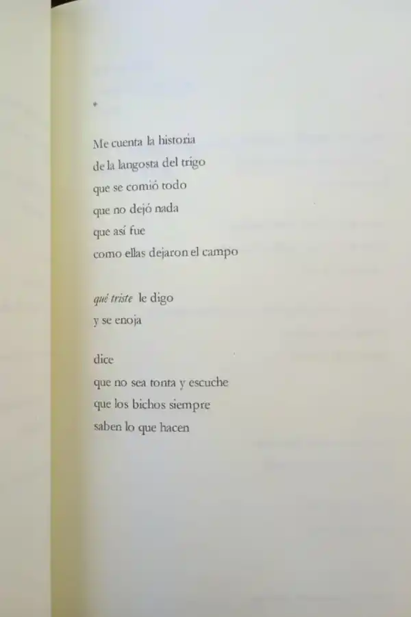 Belén Chale: “Decidí publicar fuera de Buenos Aires y lo volvería a hacer”