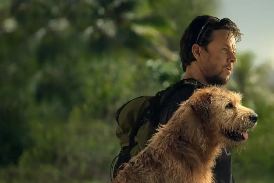 HISTORIA REAL. Vínculo profundo.