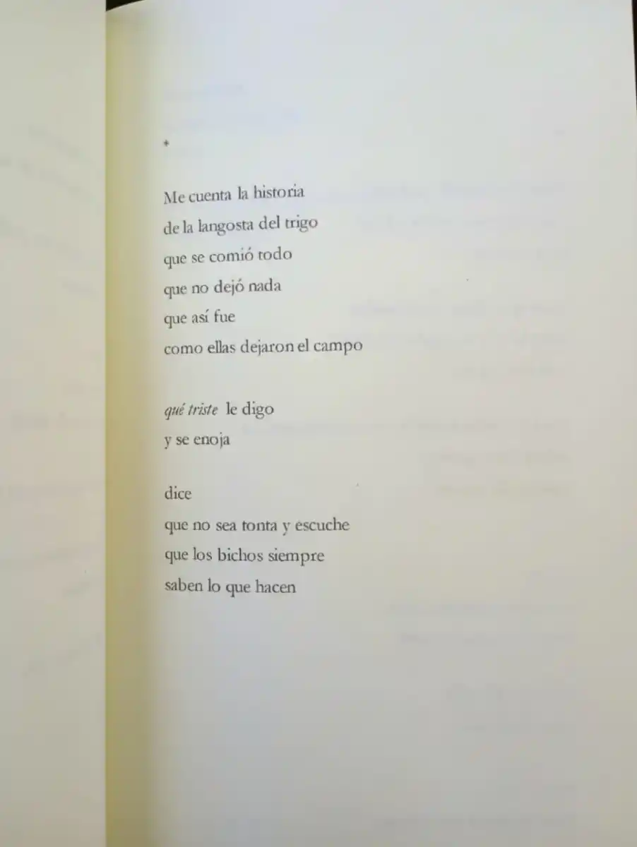 Belén Chale: “Decidí publicar fuera de Buenos Aires y lo volvería a hacer”