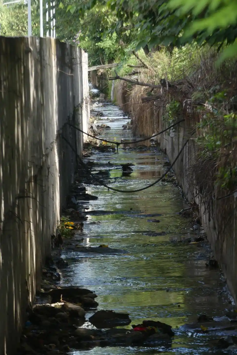 UNA VÍCTIMA INOCENTE. Agustín López tenía nueve años y estaba contagiado de dengue. Falleció el miércoles en el Hospital de Niños por una peritonitis, y sus familiares piden que se investigue a los médicos de Concepción que lo atendieron.