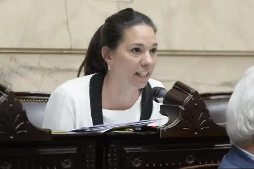 Las voces tucumanas escasearon en Diputados durante 2023