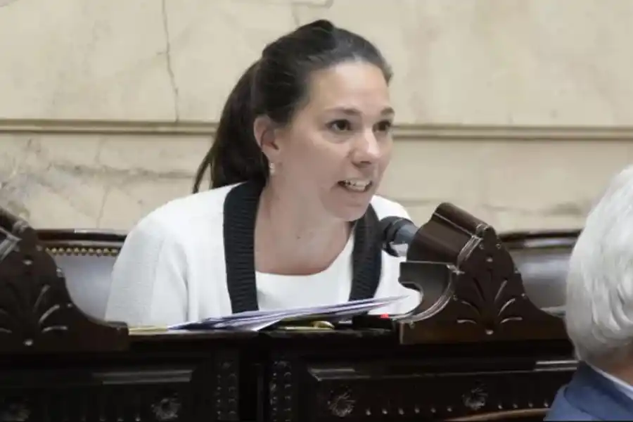 Las voces tucumanas escasearon en Diputados durante 2023