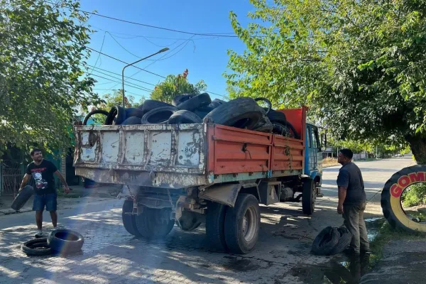 Bella Vista lanza un programa para erradicar los criaderos de mosquitos que transmiten el dengue