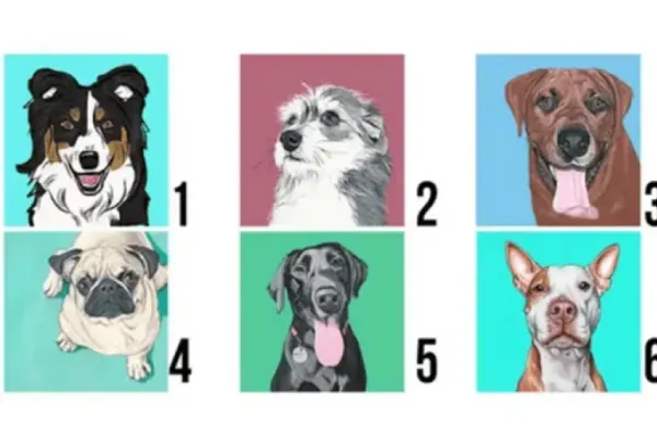 Test viral: el perro que elijas revelará tu personalidad