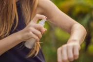 Dengue: qué ayuda a alejar al mosquito y qué no funciona