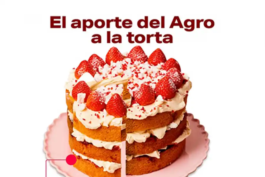 ¿Cómo se distribuye la torta económica argentina?