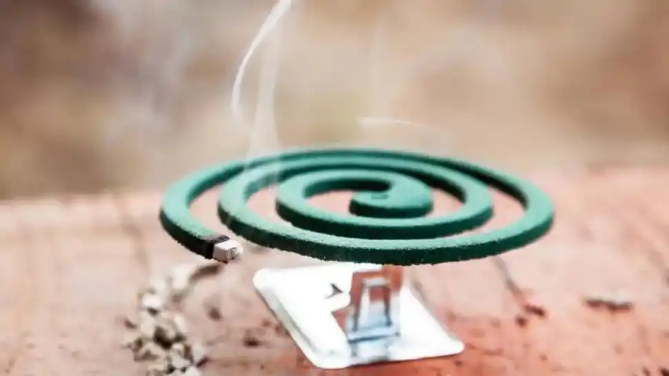 ESPIRALES. Pueden servir, aunque se los debe colocar en partes bajas. Hay que tener cuidado con posibles accidentes en el hogar.