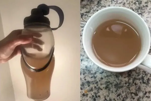 El tema del agua marrón está solucionado, la SAT está trabajando muy bien