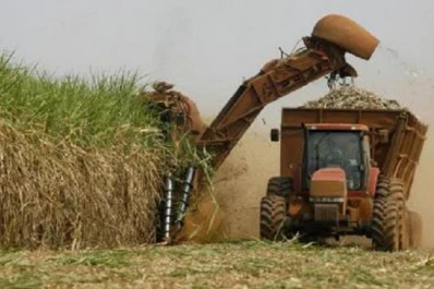 El Ipaat ofreció charlas sobre las oportunidades del sector sucroalcoholero para exportar azúcar