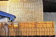 Arranca la zafra azucarera, con expectativa de producción récord