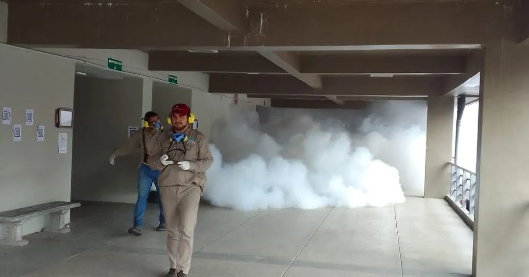 Dengue en Tucumán: estudiantes de la UNT cuentan cómo hacen para evitar los contagios