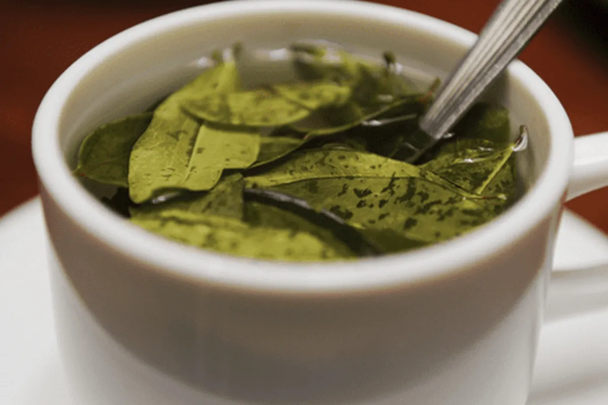 Entre los potenciales beneficios del té de coca se encuentra la pérdida de peso y el aumento de energía. 
