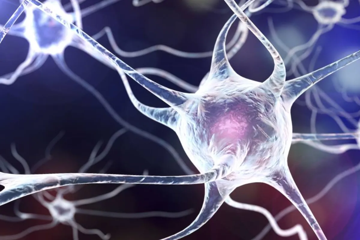 ¿Qué productos químicos domésticos pueden incrementar el riesgo de desarrollar ELA?