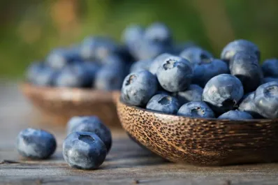 Tucumán realizó el primer embarque de arándanos a través del Paso San Francisco