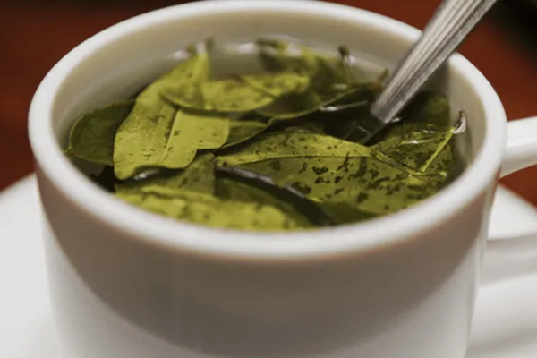 Cuáles son los beneficios de tomar té de coca