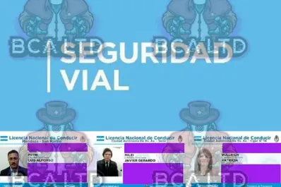Hackearon la base de datos de licencias de conducir: cuál es la explicación del Gobierno