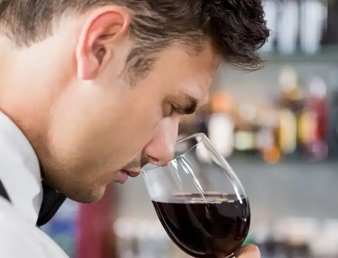 Cinco razones por las que el malbec es la puerta de entrada al universo del vino