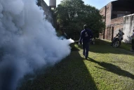 VIDEO. Epidemia de dengue en Tucumán: No hay que subestimar a la enfermedad