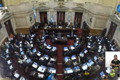 Quiénes son los dos senadores que pidieron que no les aumenten el sueldo