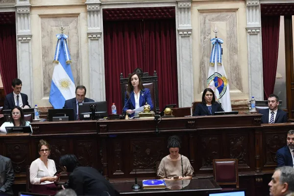 Villarruel oficializó los dictámenes de la Ley Bases y el paquete fiscal en el Senado