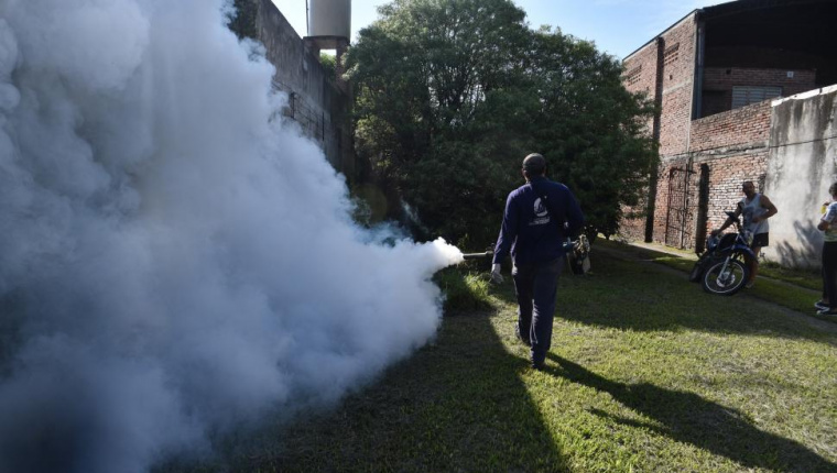 VIDEO. Epidemia de dengue en Tucumán: No hay que subestimar a la enfermedad