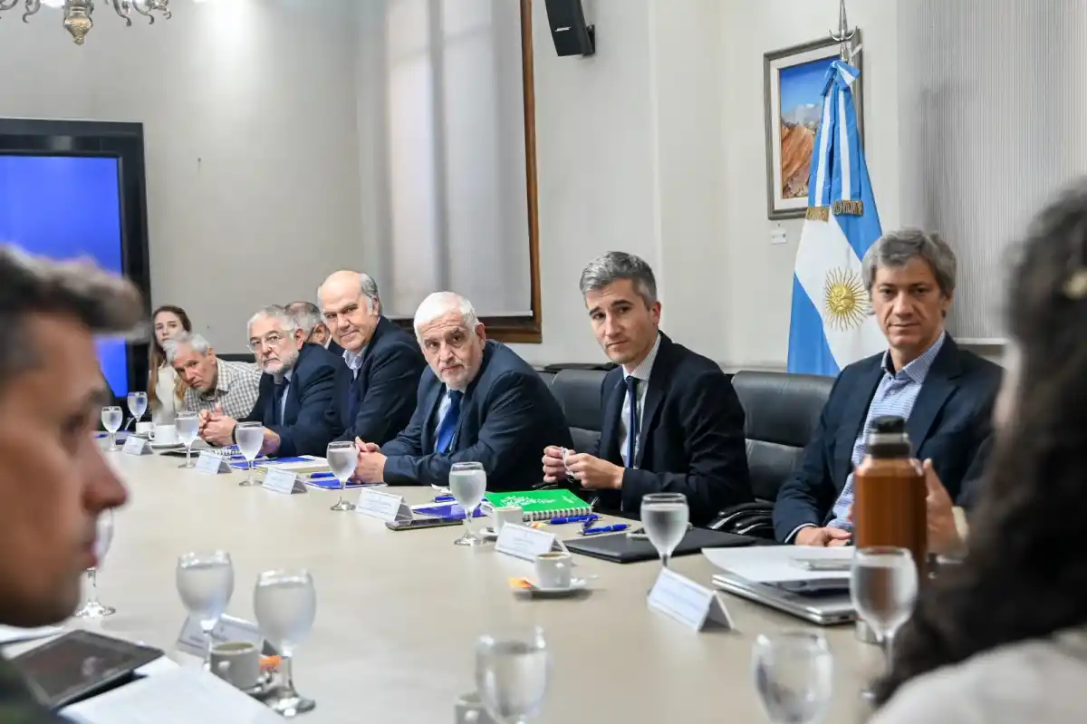 Trataron el problema de la chicharrita del maíz. BIOECONOMÍA