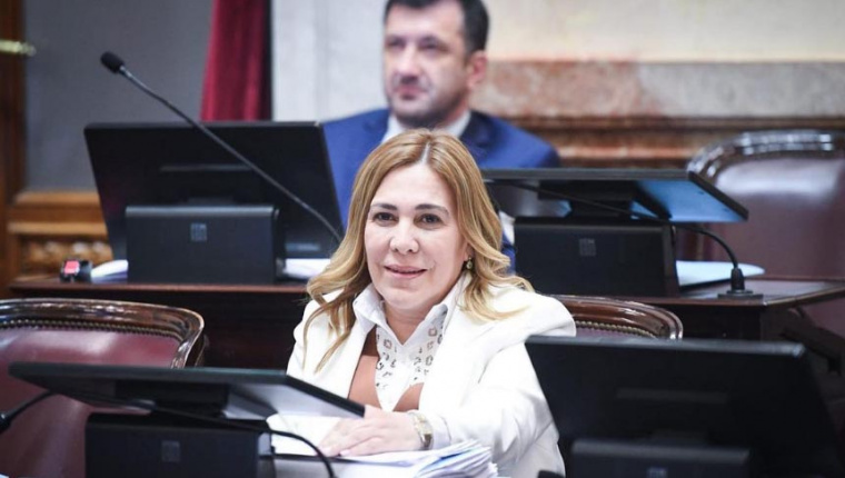 Dieta de los senadores: Beatriz Ávila dijo que el PRO pedirá que se deje sin efecto la suba