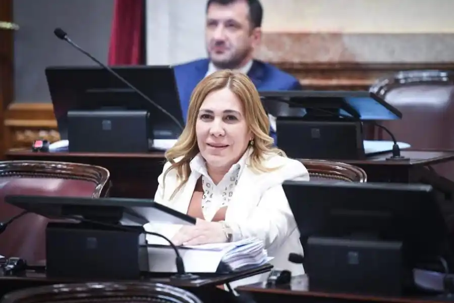 ÁVILA NO VOTÓLA SUBA. “No voté el aumento de dietas en el Senado”, publicó Beatriz Ávila en su cuenta de la red social X. Y agregó: “nosotros somos los que tenemos que predicar con el ejemplo, ser responsables y acompañar a nuestro pueblo por el difícil momento económico que estamos atravesando”, acotó.