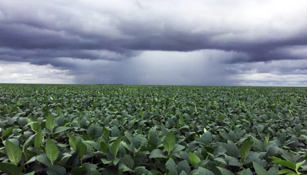 PRECIPITACIONES. Recién hacia la tercera década de noviembre se registraron lluvias de importancia agrícola, que cargaron el perfil; eso dio un balance positivo hasta la primera década de enero.