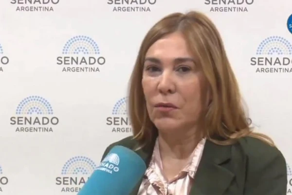 Video: El acopio de mercadería es un error del Gobierno nacional, dijo Beatriz Ávila