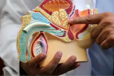 Cáncer de próstata: cuáles son las señales que avisan de la enfermedad en menores de 40 años