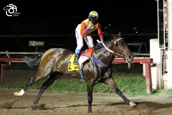 Maidaan confirmó que está en su mejor nivel y ganó la central del turf