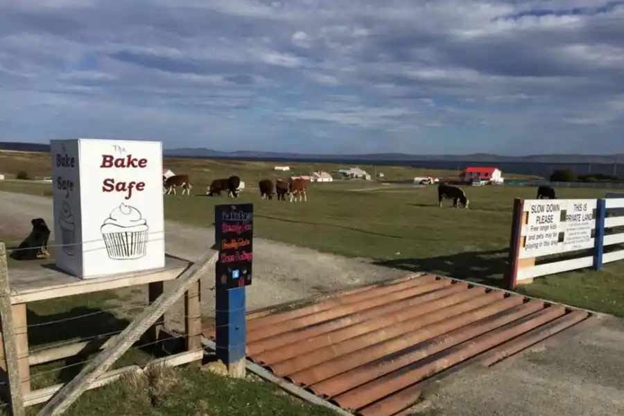 “PASTELERÍA BUZÓN”. The Bake Safe en la entrada de Johnson Harbour