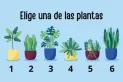 Test de personalidad: elegí una planta y descubrí cuál es tu misión en la vida